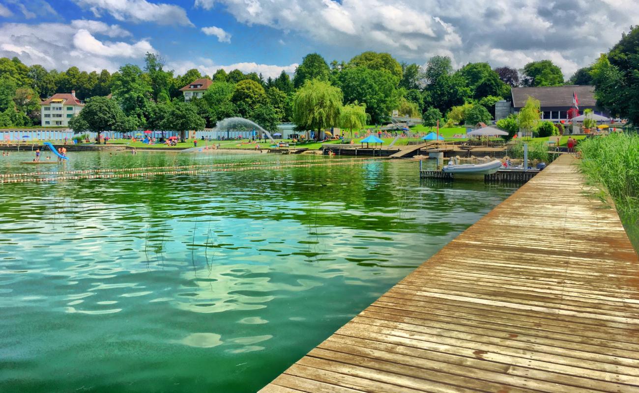 Foto de Schwimmbad Murten con hierba superficie