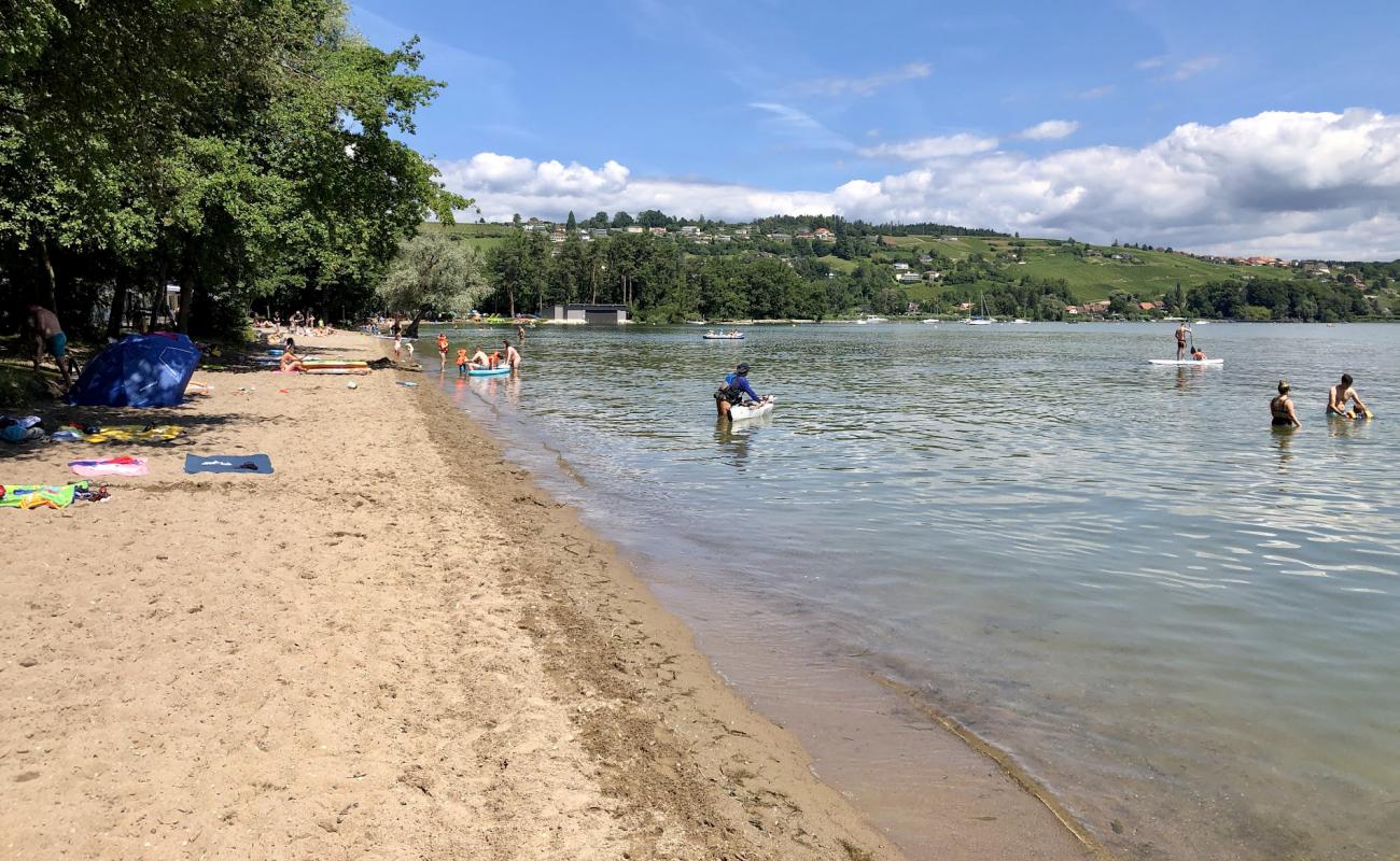 Foto de Plage Salavaux con arena brillante superficie