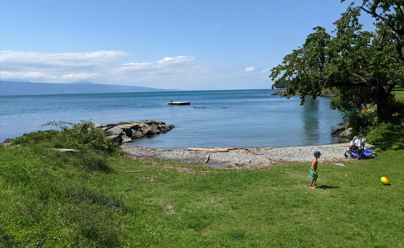 Foto de Plage de Cully con guijarro fino gris superficie