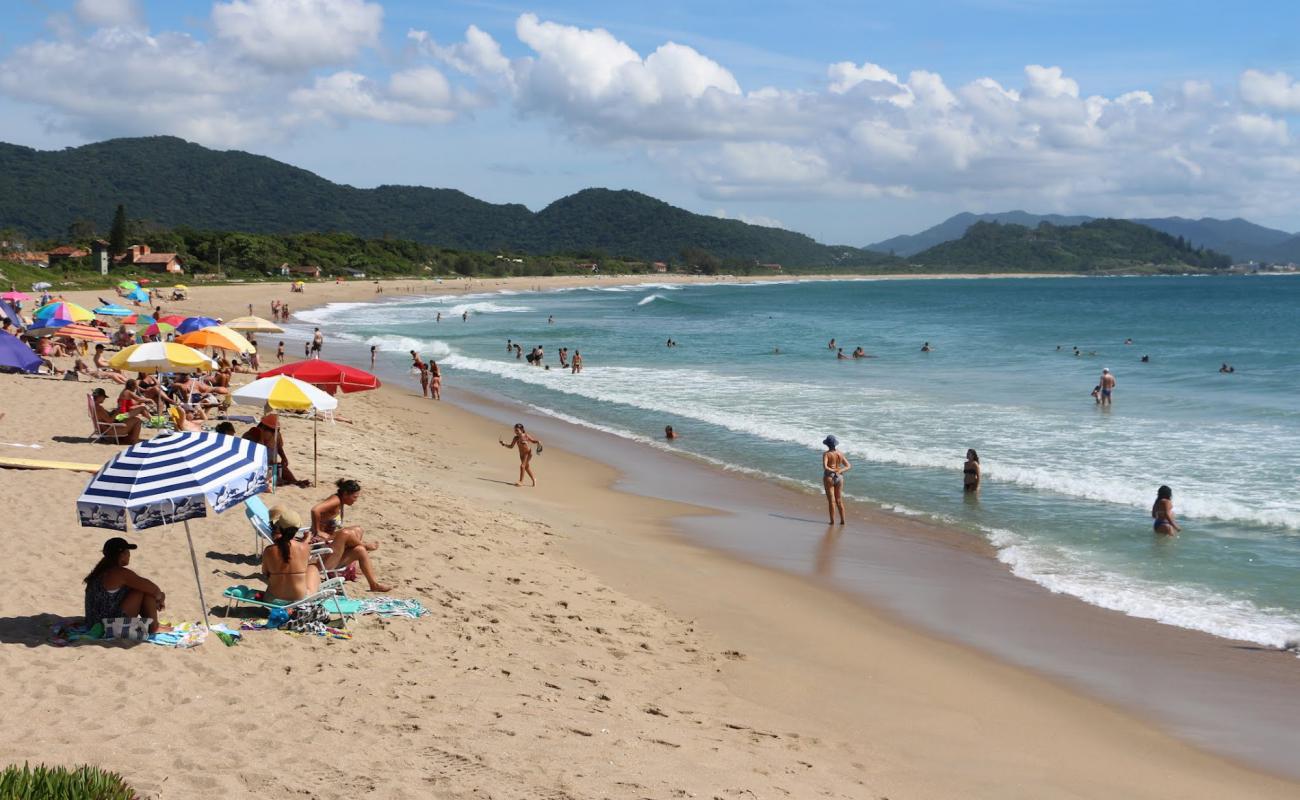 Foto de Playa de Armação con brillante arena fina superficie