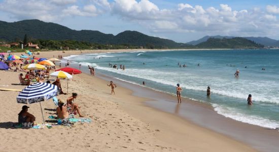 Playa de Armação