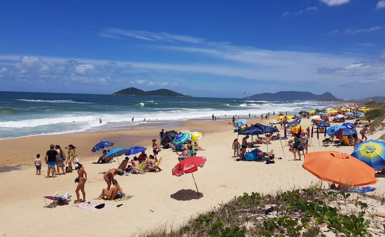 Foto de Praia do Campeche con brillante arena fina superficie