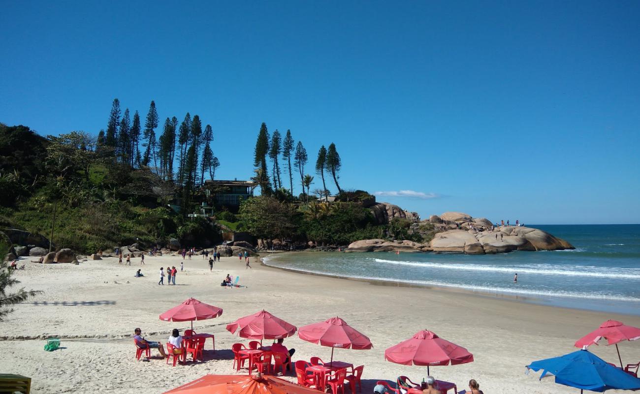 Foto de Playa Joaquina con brillante arena fina superficie