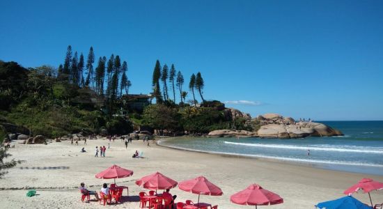 Playa Joaquina