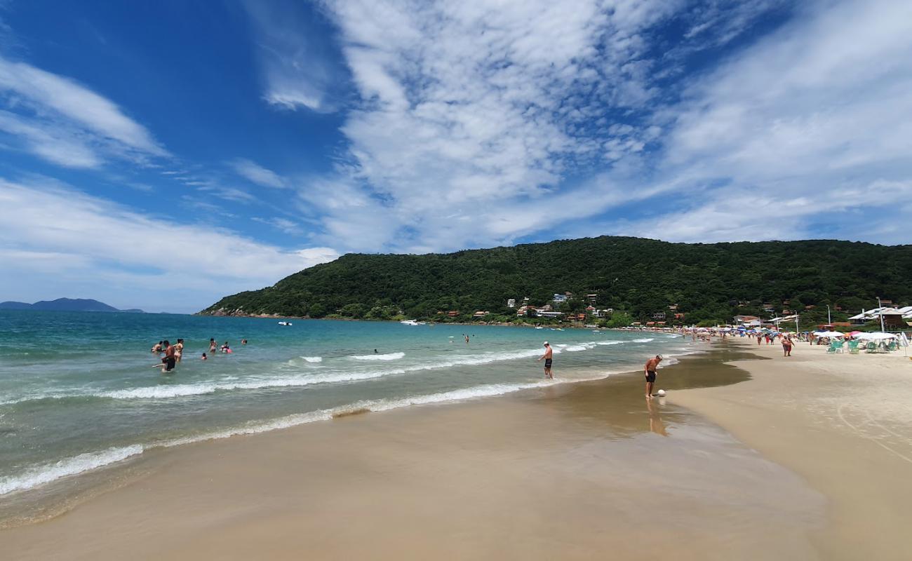 Foto de Playa de Ponta das Canas con brillante arena fina superficie