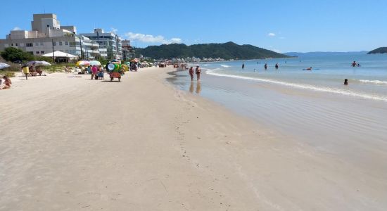 Praia Palmas do Arvoredo