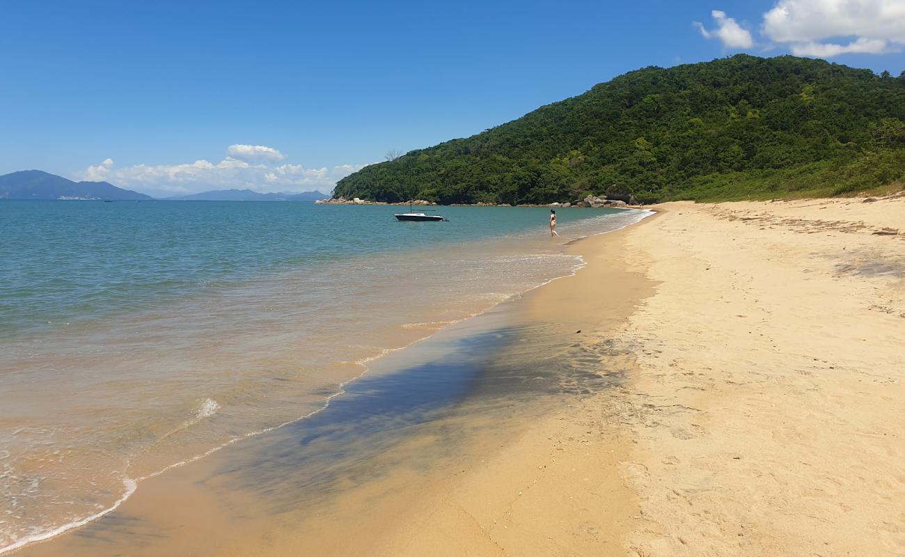 Foto de Praia da Lagoa con arena brillante superficie