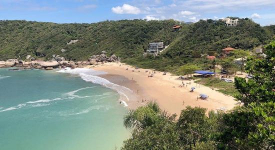 Praia da Tainha