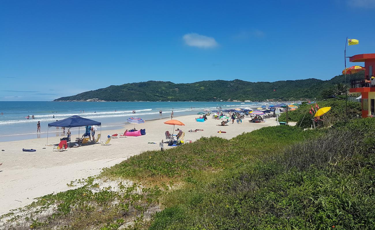 Foto de Praia de Mariscal con brillante arena fina superficie