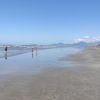 Playa de las Gaviotas