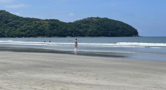 Playa de la Ballena