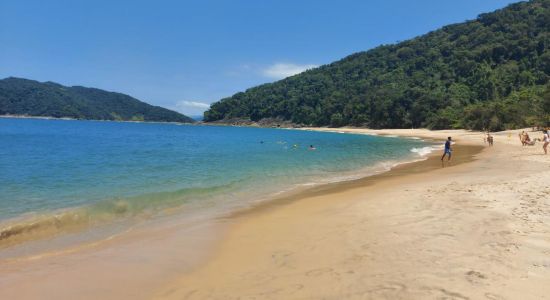 Playa de Figueira