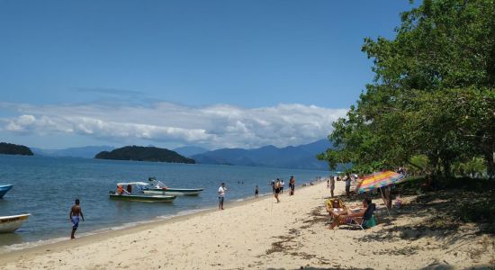 Playa Pitangas