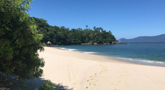 Playa Paciencia