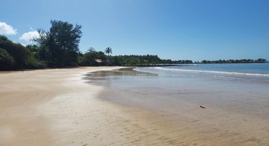 Playa de Biología