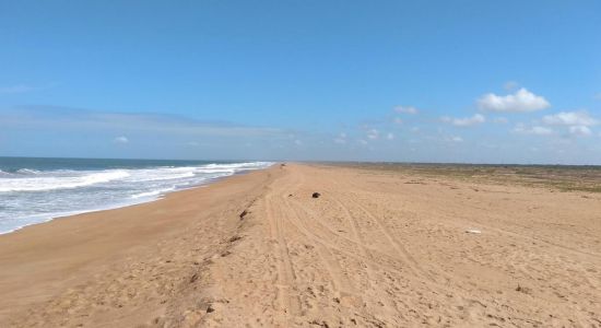 Playa de Regencia