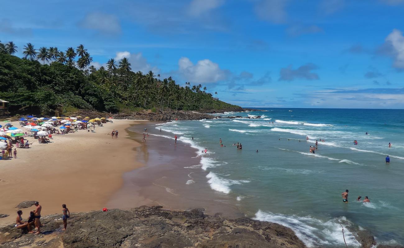 Foto de Praia da Tiririca con brillante arena fina superficie