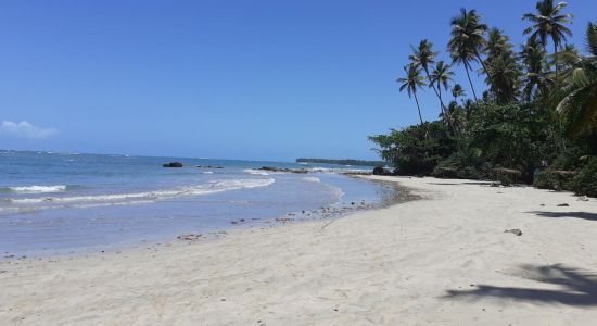 Praia de Tassimirim