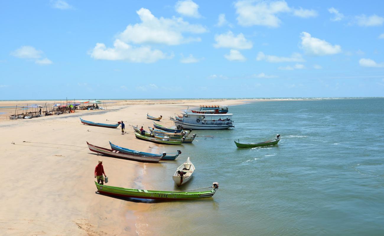 Foto de Praia do Peba con brillante arena fina superficie