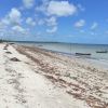 Playa Carne de Vaca