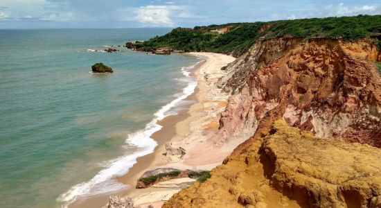 Playa Arapuca