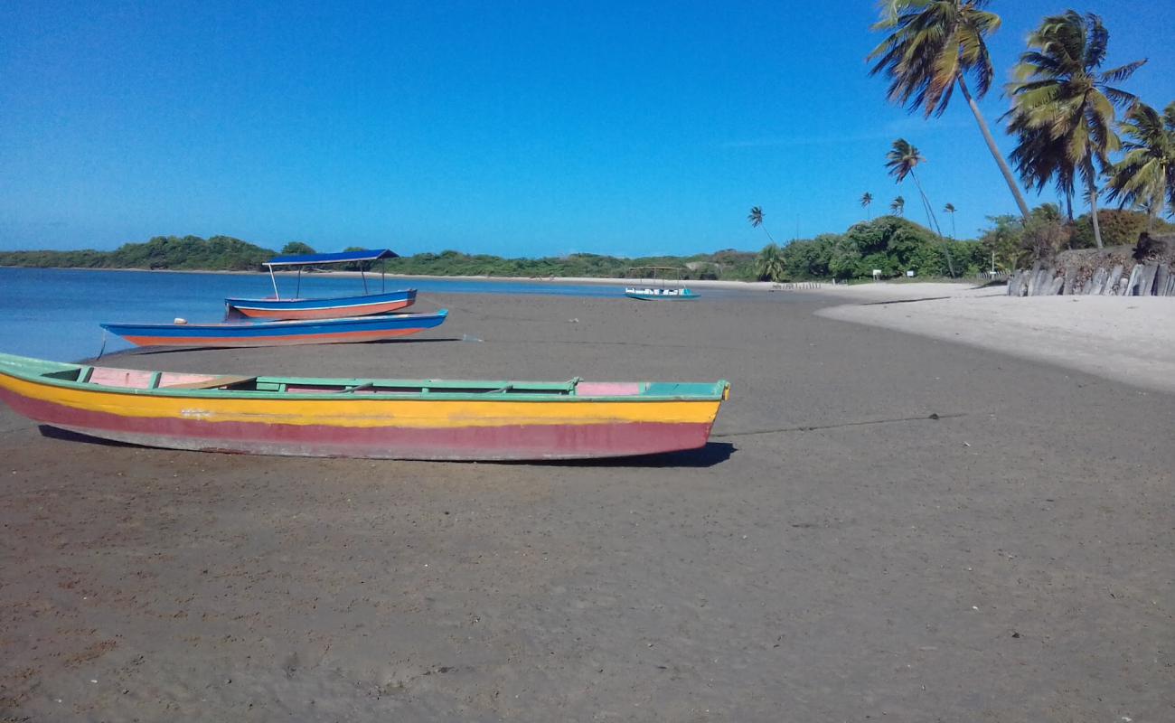 Foto de Playa de Río Mamanguape con arena brillante superficie