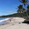 Playa de Coqueirinho Norte