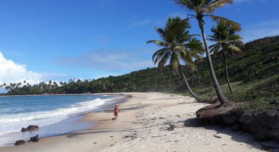 Playa de Coqueirinho Norte