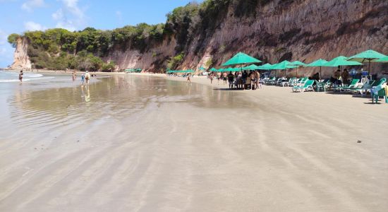 Playa Baía dos Golfinhos Pipa