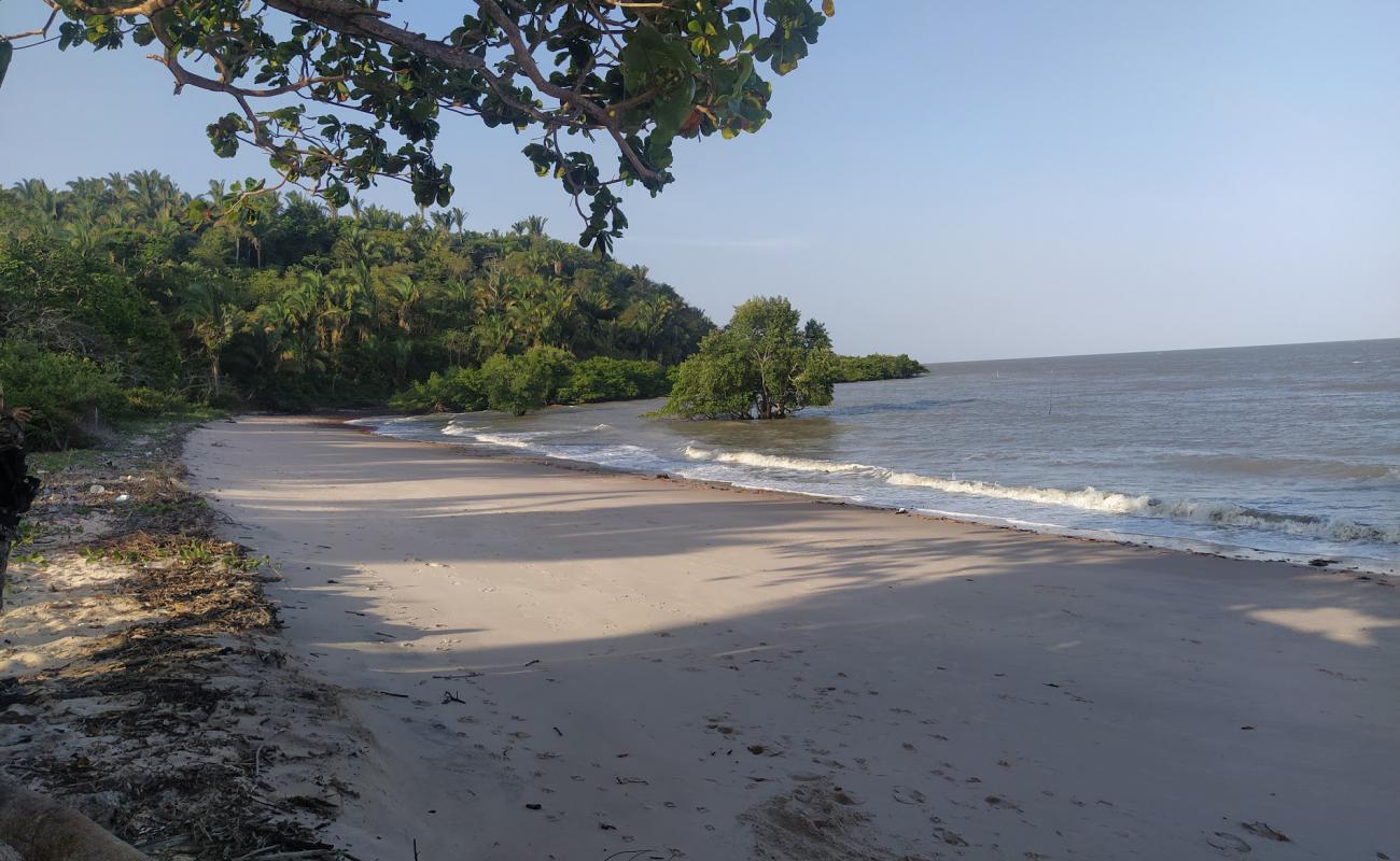 Foto de Praia do Leste con arena brillante superficie