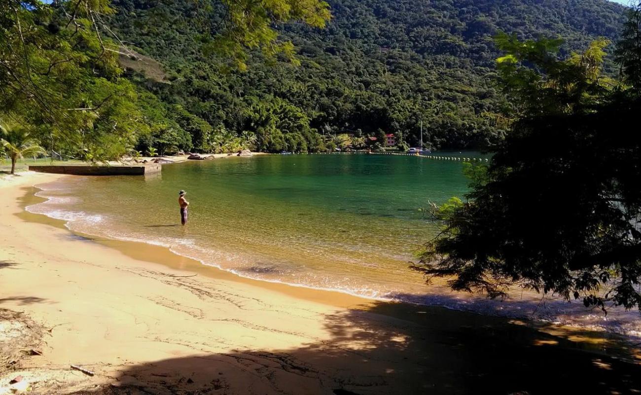 Foto de Praia da Longa con arena brillante superficie