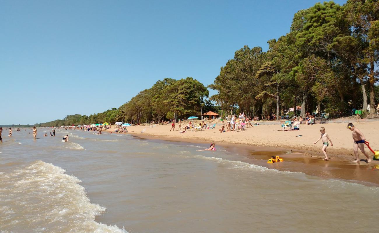 Foto de Arambare Beach con arena brillante superficie