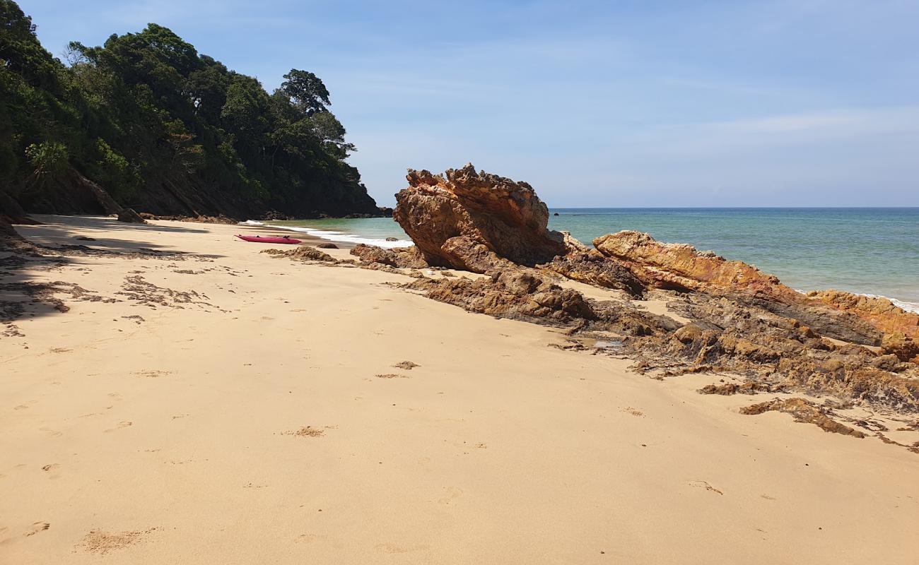 Foto de Abalone Beach con arena brillante superficie