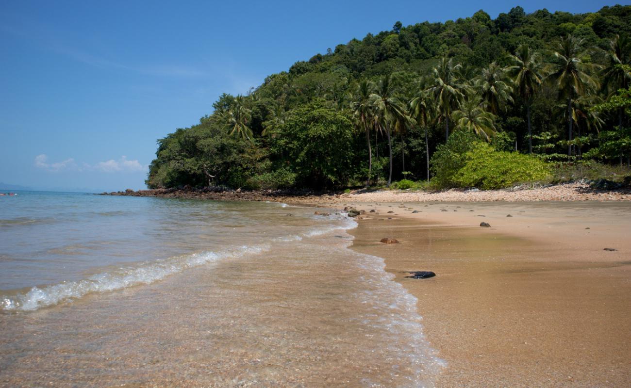 Foto de Coconut Beach con arena/guijarros negro superficie