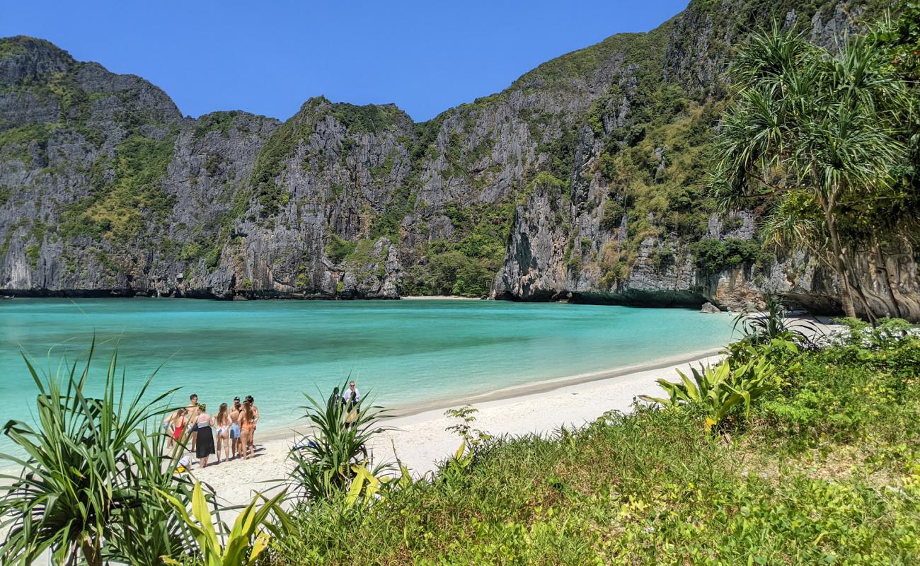 Foto de Playa de Maya Bay con arena fina blanca superficie