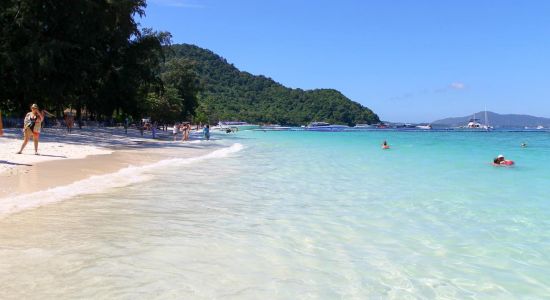 Playa de Coral