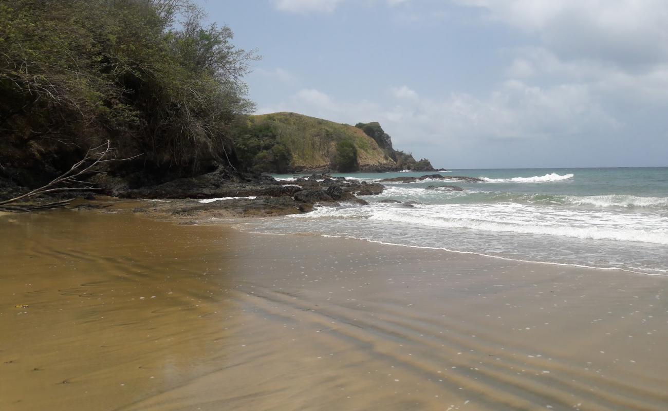 Foto de Clarkes Bay beach con arena/piedras marrón superficie