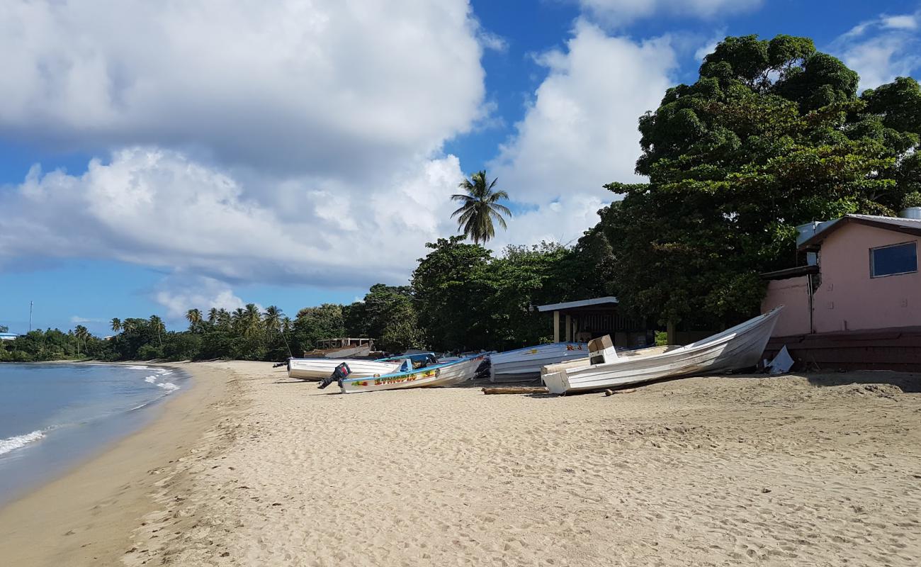 Foto de Great Courland Bay beach con arena brillante superficie