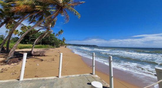 Mayaro beach