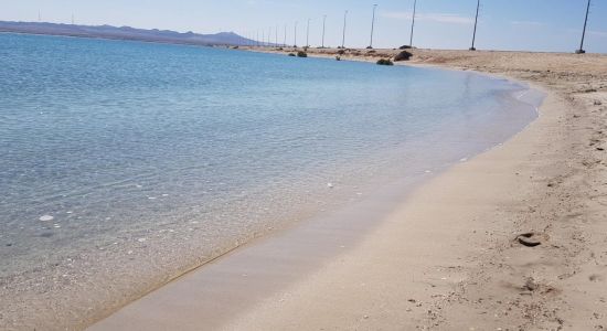 Sir Bani Yas beach