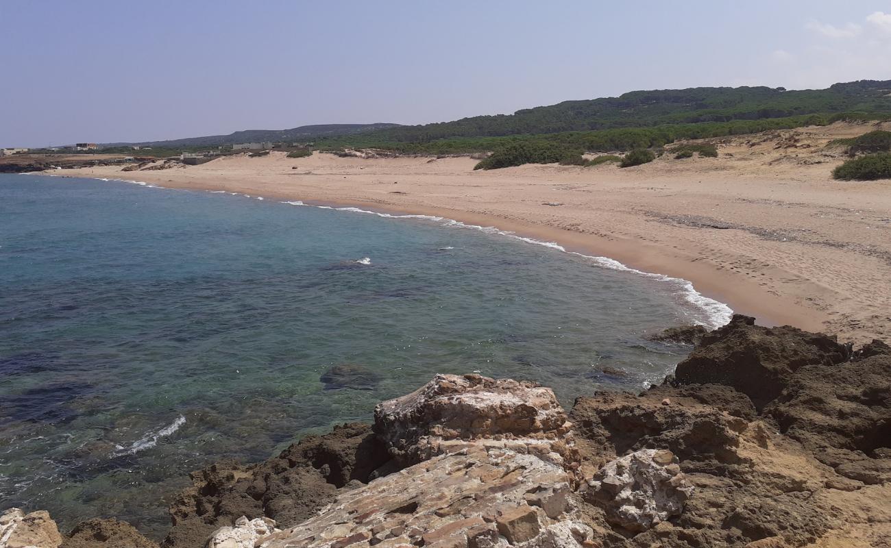 Foto de Plage Sidi Mechreg con arena oscura superficie