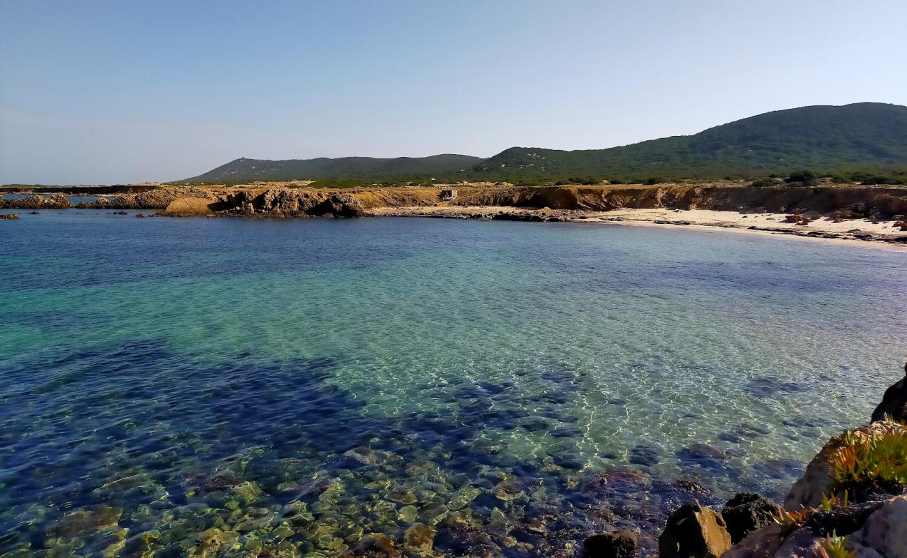 Foto de Plage Sidi el Bechir con brillante arena fina superficie