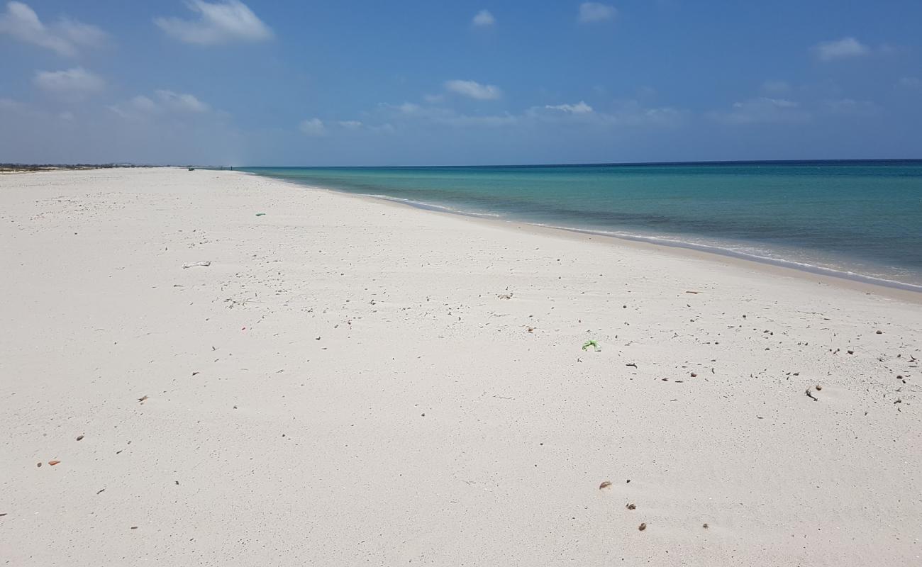 Foto de Menzel Or beach con brillante arena fina superficie