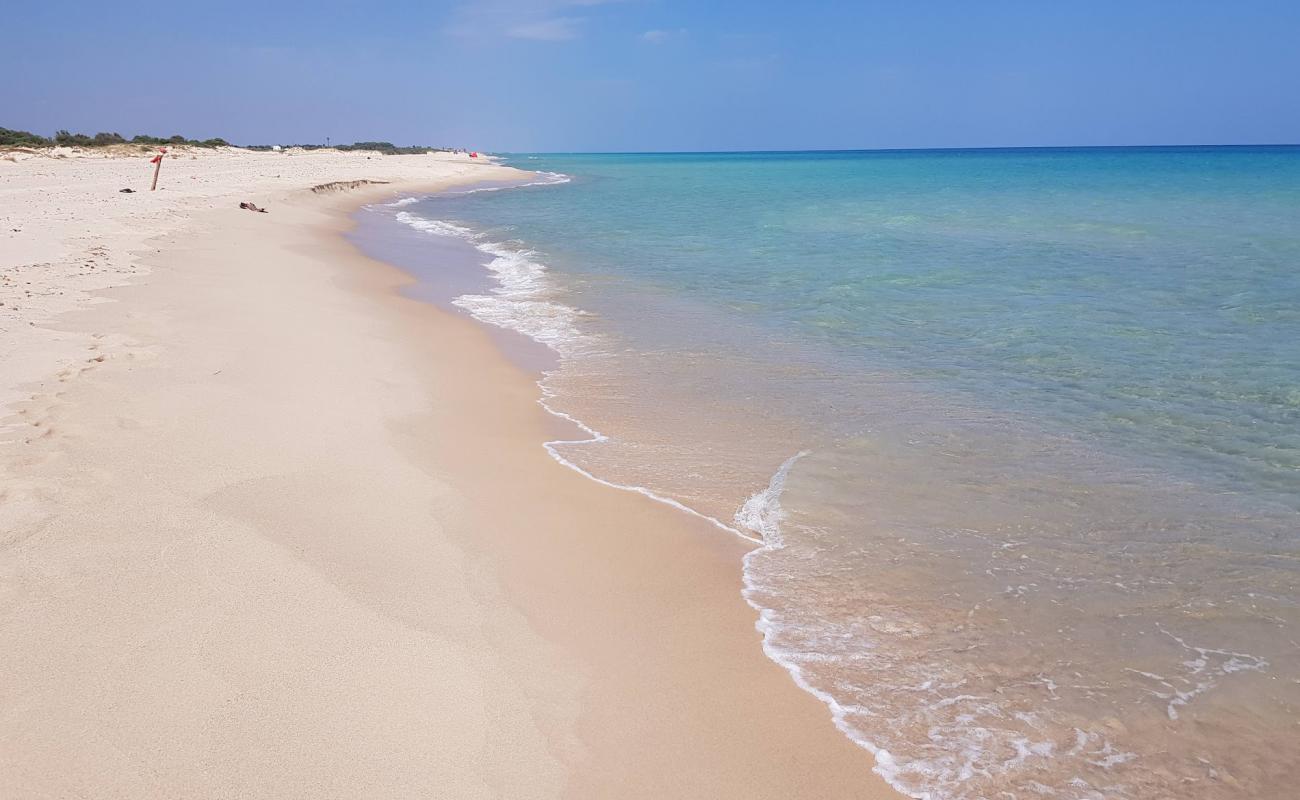 Foto de Plage de Tazarka con brillante arena fina superficie