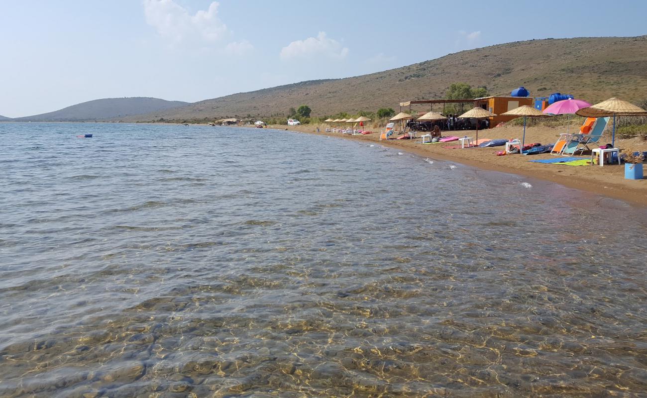 Foto de Alibey beach con arena/guijarros negro superficie