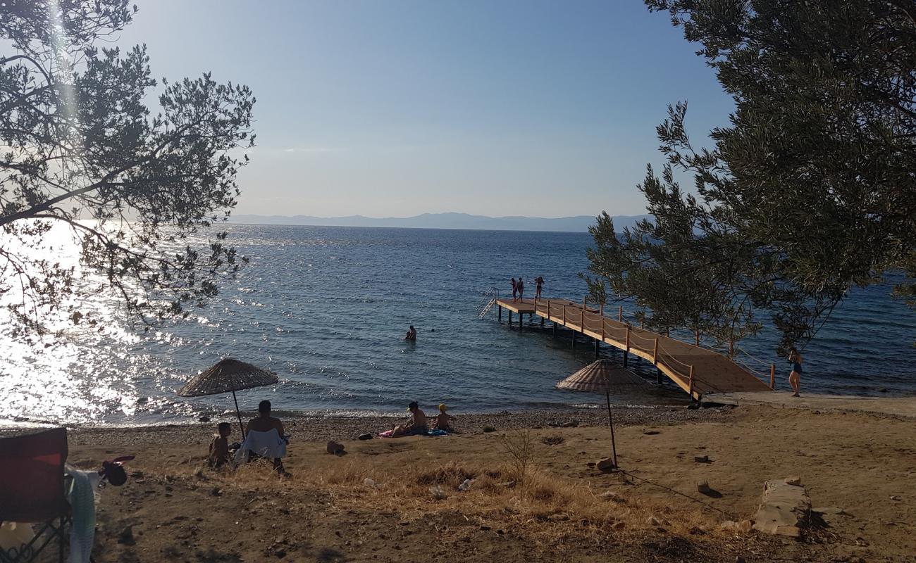 Foto de Zeytinli kamp beach con arena/guijarros negro superficie