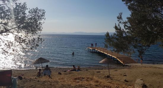 Zeytinli kamp beach