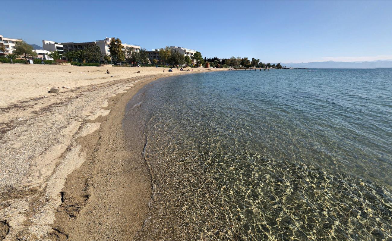 Foto de Palmera beach y el asentamiento