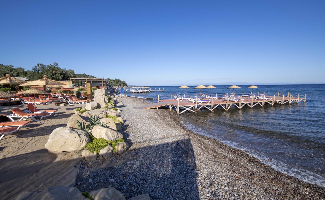 Foto de Assos Club beach con guijarro ligero superficie