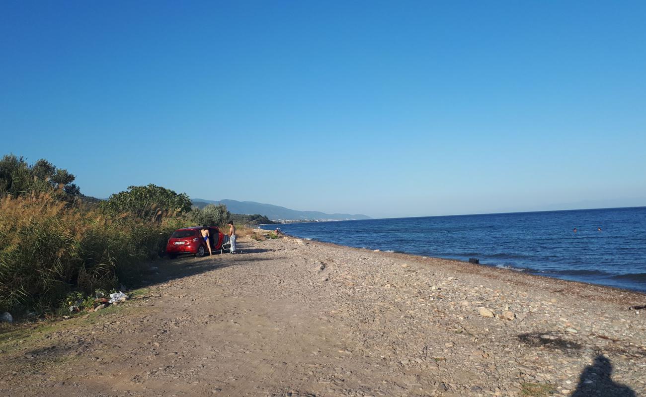 Foto de Assos Free beach con guijarro ligero superficie